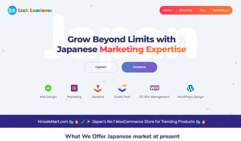 Web Development with Link Luminous Link Luminous LLC