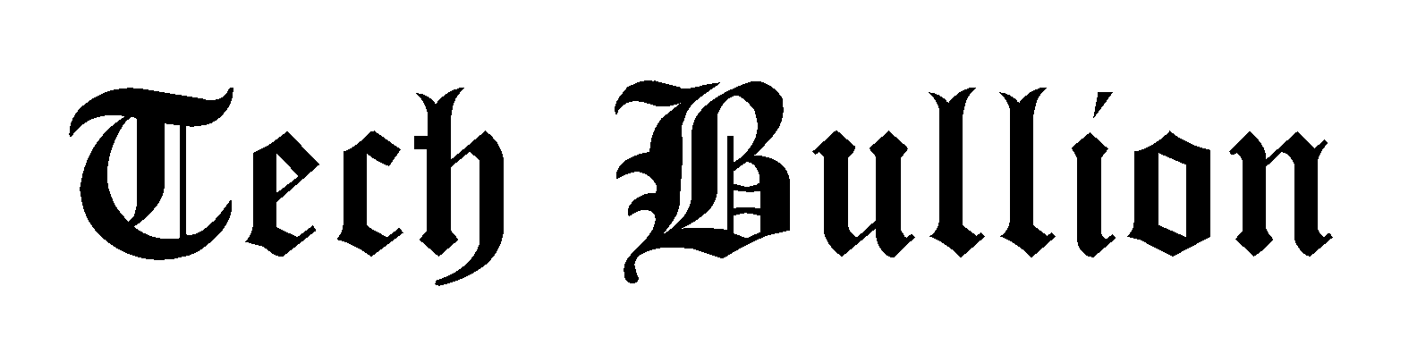 techbullion.in